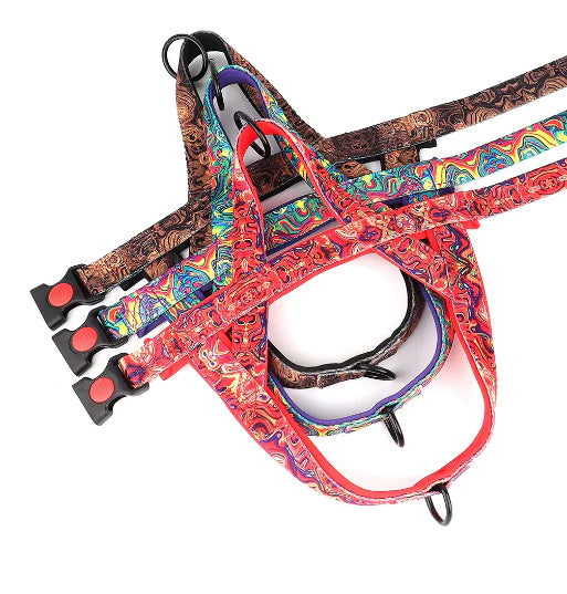 Dog Harness with Leash